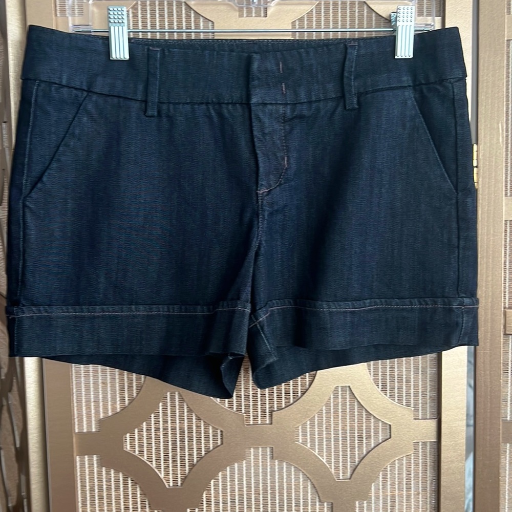 Level 99 Denim Shorts